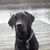 Amber White Vorell's profile image