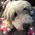 Tillie Payseno's profile image