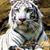 Angela Richter's profile image