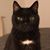 Marja-Lewis Ryan's profile image