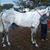 Alberto Loredo Alonso's profile image