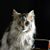 Cathy Huerta's profile image