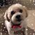 Evi Parthemos's profile image