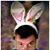 Jimmy Whelan's profile image