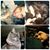 Zachary Desautels's profile image