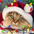 Nancy L Willis's profile image
