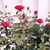 Mary-Barrett Anders's profile image