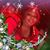 Nicole JustDiva Williams's profile image