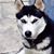 Hope Juba Juarez's profile image