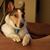 Adda Gape's profile image