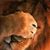 Benjamin Stowe's profile image
