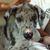 Rob Khurana's profile image