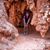 Laura Couch Strebler's profile image