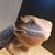 Gayle Myers's profile image