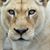 Margaret Benward's profile image