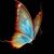Kathy Kohls's profile image