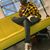 Jae Monsiéur's profile image