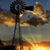 Melissa Rozell Tweedel's profile image