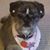 Kay White's profile image