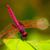 Michelle Reardon Tilden's profile image