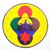 Michael Dahlquist's profile image