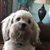 Patricia Weldon's profile image