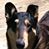 Cindy Kilner Dorsten's profile image