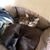Ranie Major Klepper's profile image