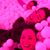 Lindsay Azarian's profile image