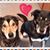 Rhonda Lalli's profile image