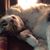 Carrie968's profile image