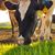 Ashley Barforth's profile image