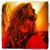 Stacy Blackburn's profile image