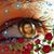 Barbara McGee Preston's profile image