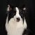 Beth Farr's profile image