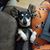 Mistie Melver's profile image