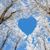 Ann Lautner's profile image