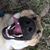 Tiffany Trentmann's profile image