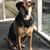 Martha Waldon Mequet's profile image