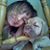 Lacey Roderick's profile image