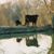 Tracey Sadler's profile image