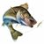 Donald Weisenbach's profile image