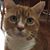 Michelle Quinan Wachter's profile image
