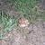 Gary Livesay's profile image