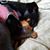 Sheila A Coffelt's profile image