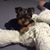 Anthony J Orrala's profile image