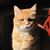 Robin Romero's profile image