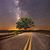 Rachelle Speak's profile image
