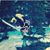 Bernie Arkwright's profile image