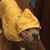 Kerwin Overman's profile image